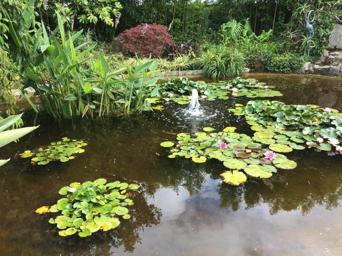 Quinta Das Pedras Belas Zewnętrze zdjęcie